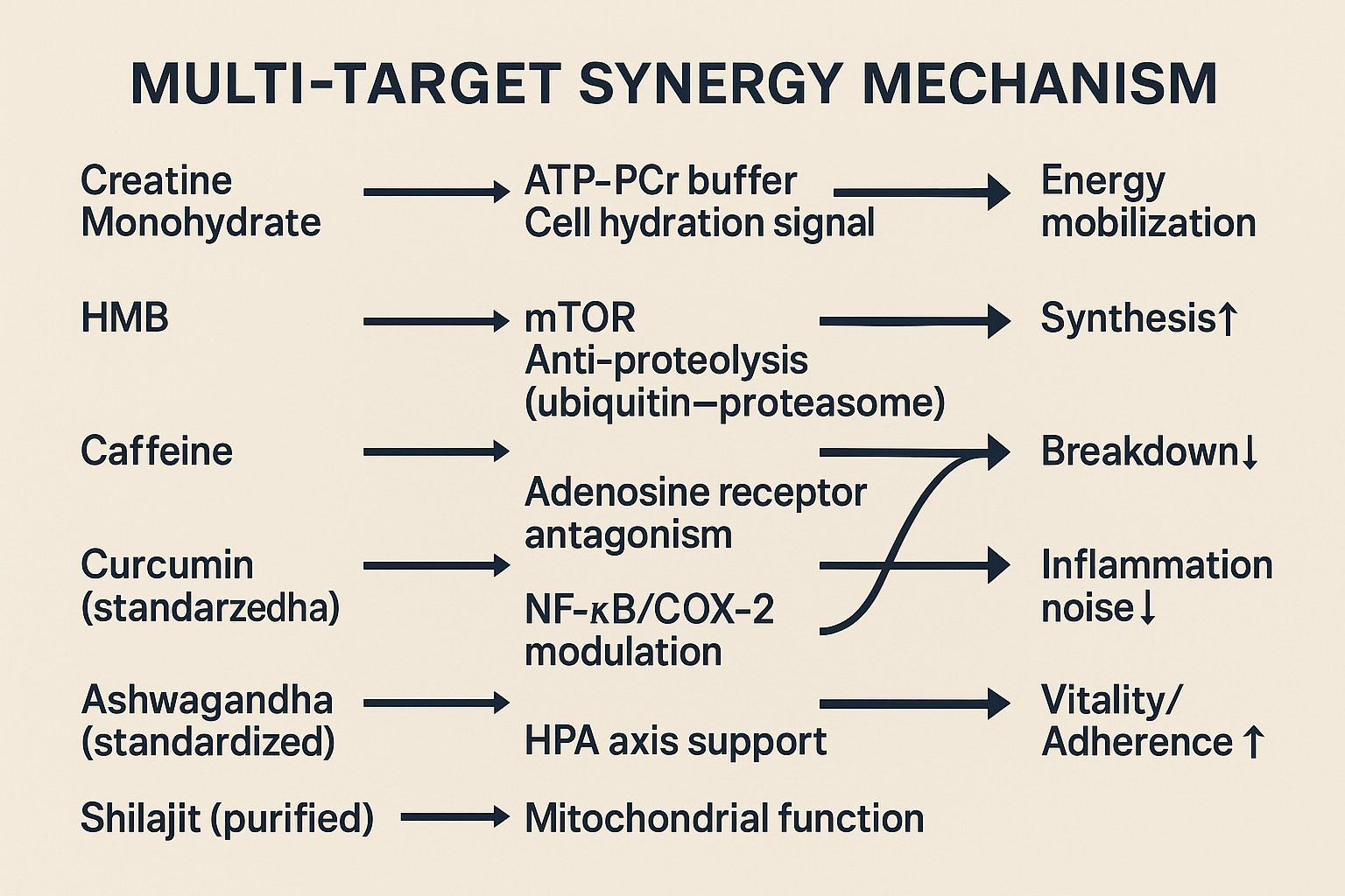 2.png__PID:e621b2e5-8d19-4ed7-9e0a-63407bed0457